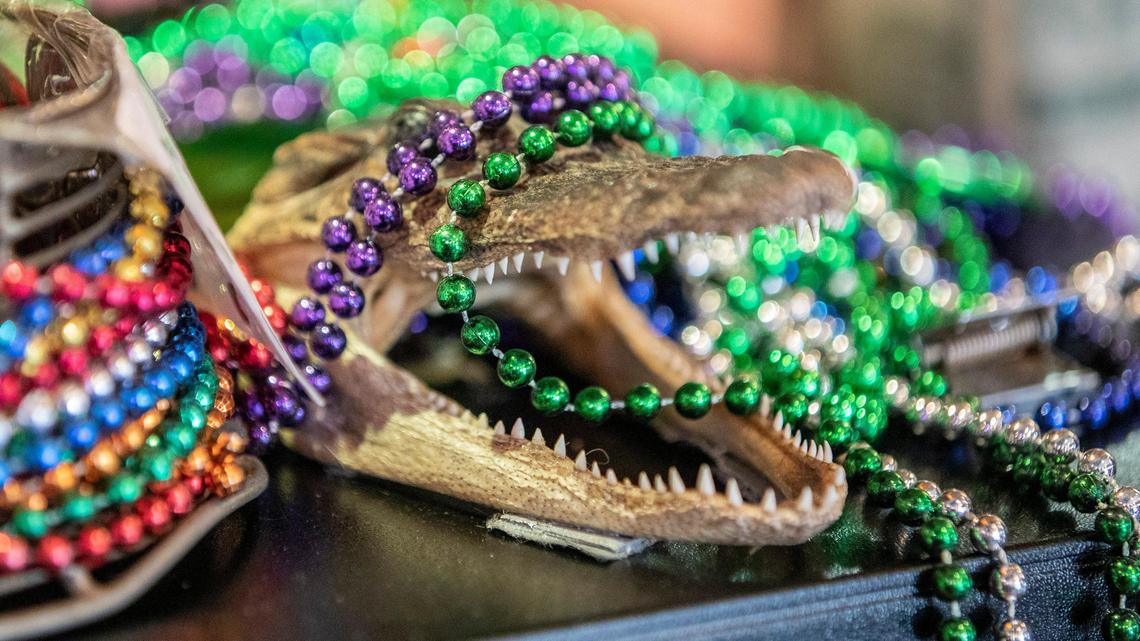 Mardi Gras beads are on display on an alligator at Bourbon n’ Toulouse in Lexington, Ky., Tuesday, Feb. 25, 2020.