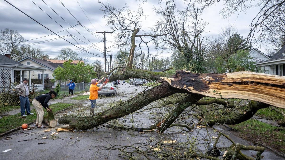 Terry Johns uses a chainsaw to cut a tree that fell on Bennett Avenue in Lexington, Ky., Tuesday, April 2, 2024.