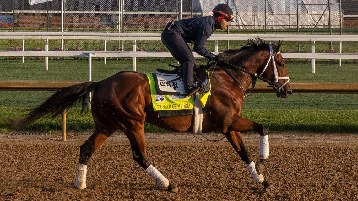 Four stallions have sired multiple contenders in 2022 Kentucky Derby. Meet the fathers.