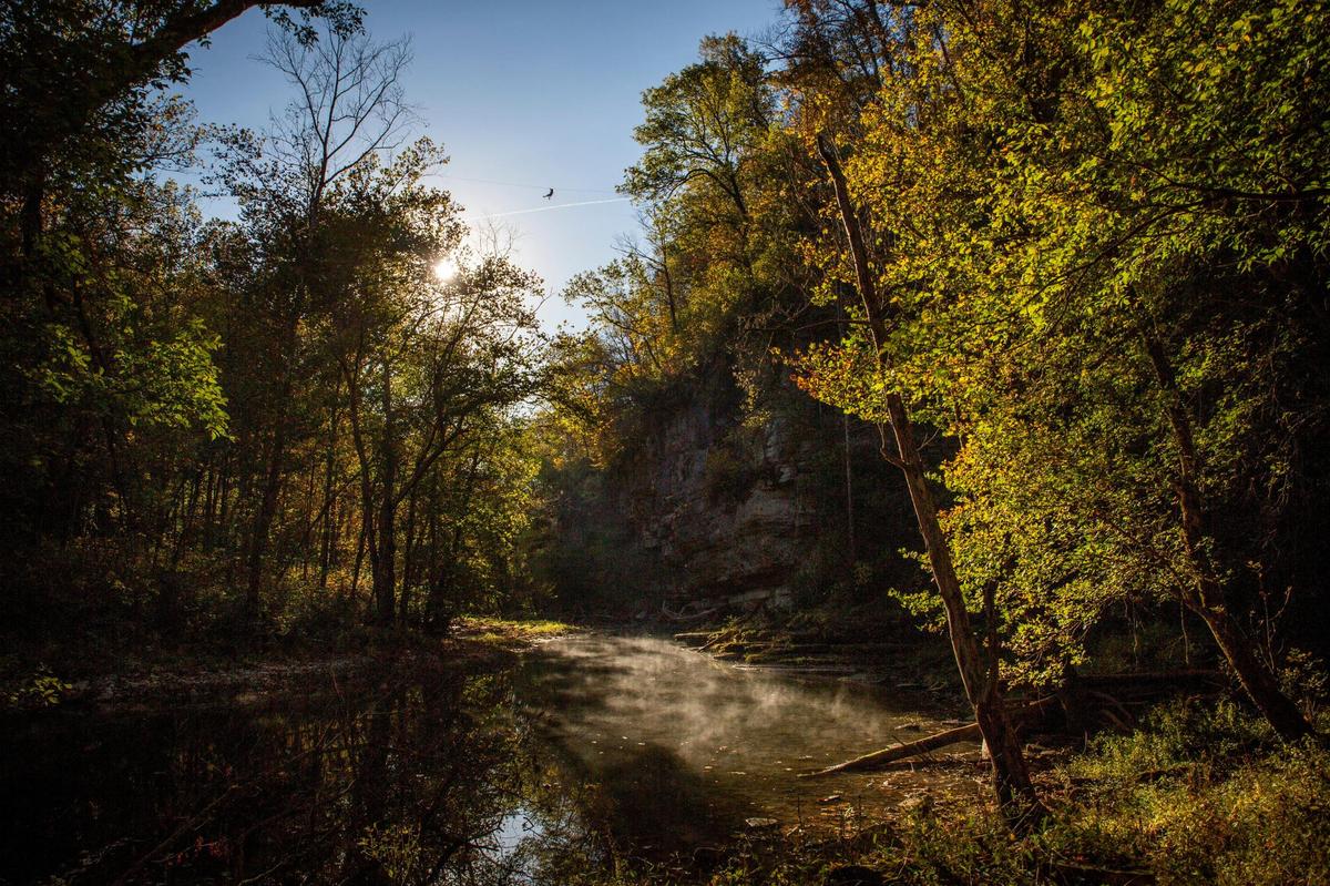 High above the creek, Jada McKenzie, a guide at Boone Creek Outdoors in Lexington, Ky., rides a zip across.