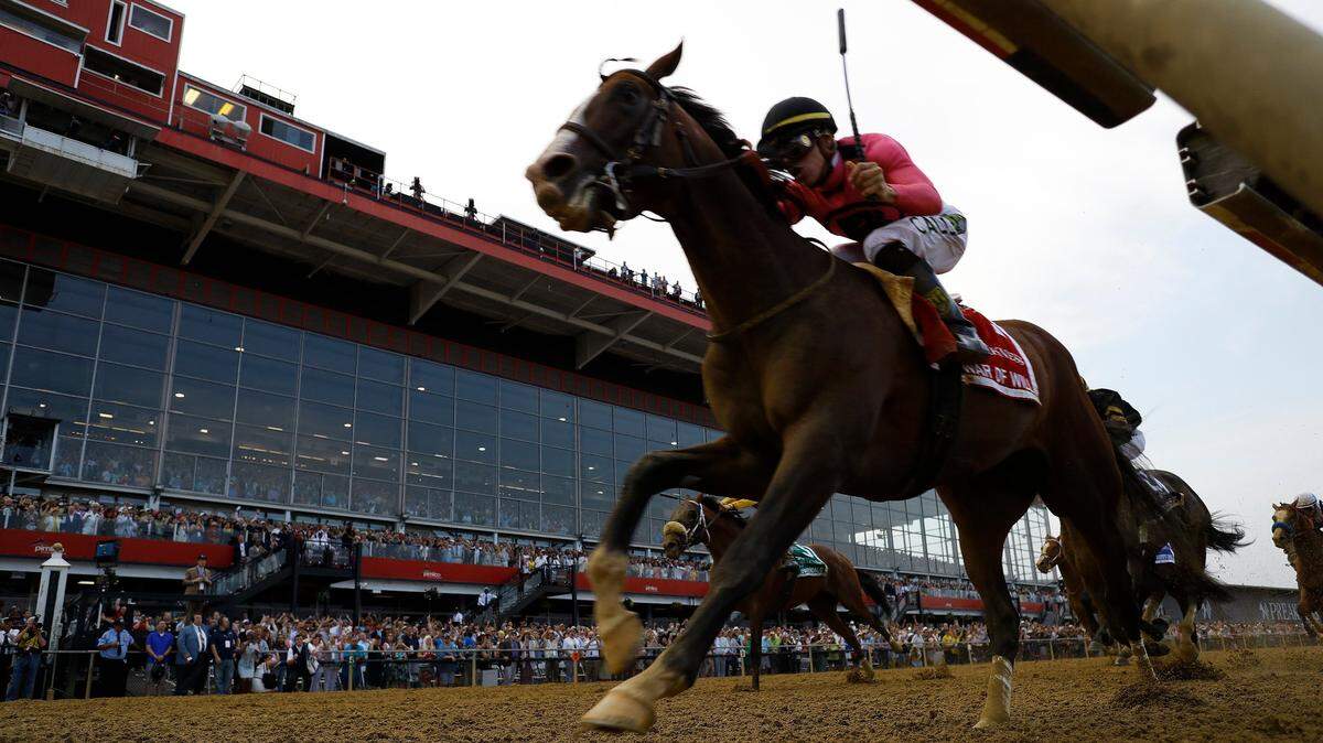 War of Will, ridden by Tyler Gaffalione, won the 2019 Preakness Stakes. He stands at stud at Claiborne Farm in Paris.
