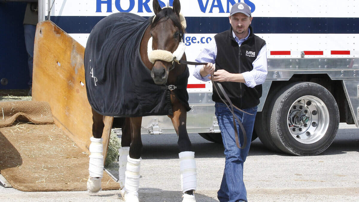 Michael McCarthy led Uncle Mo off a van on his way to Churchill on April 18. The horse worked 5 furlongs in 1:014⁄5 Tuesday.  