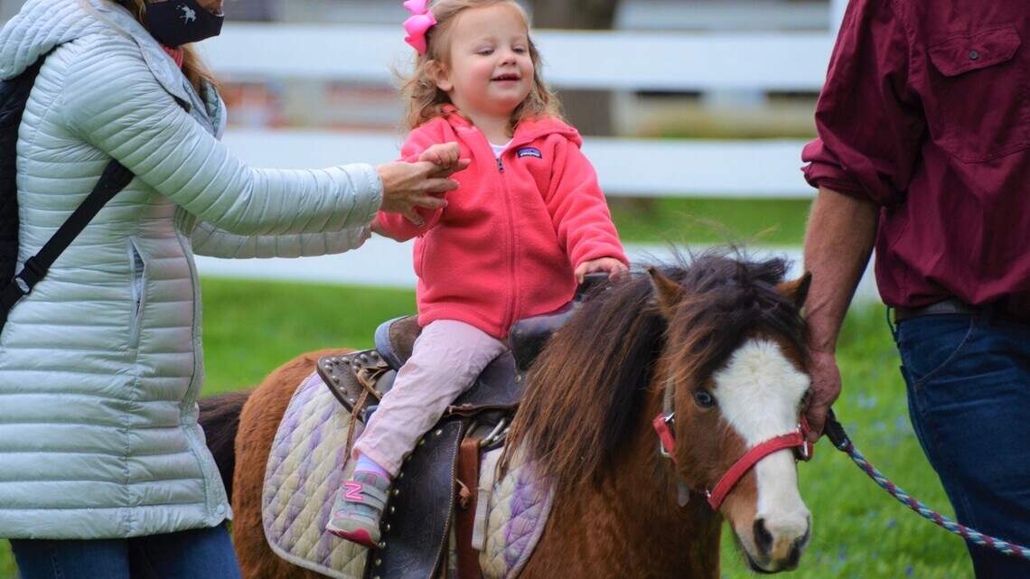 The 14 best things to do in and around Lexington this weekend