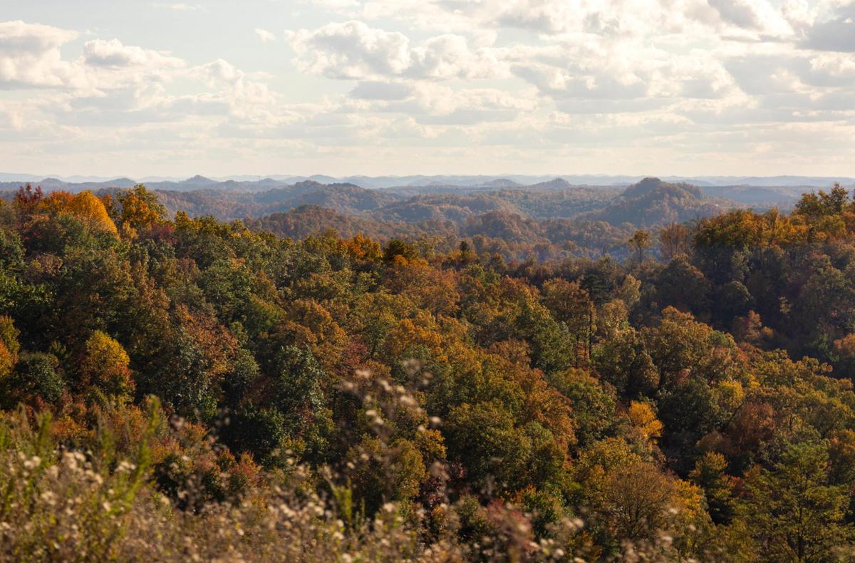 The view from the offload trails that were the site of a former strip mine that’s been reclaimed in Martin County, near Debord, Ky., Thursday, October 22, 2020.