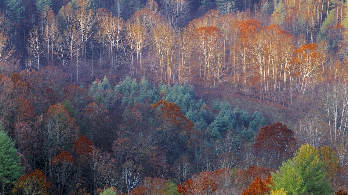 Famous Kentucky photographer’s work will live on in his calendars