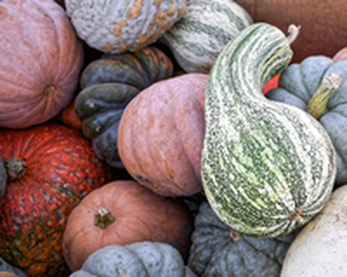Lexington Farmers Market will have pumpkins, gourds and cushaws.