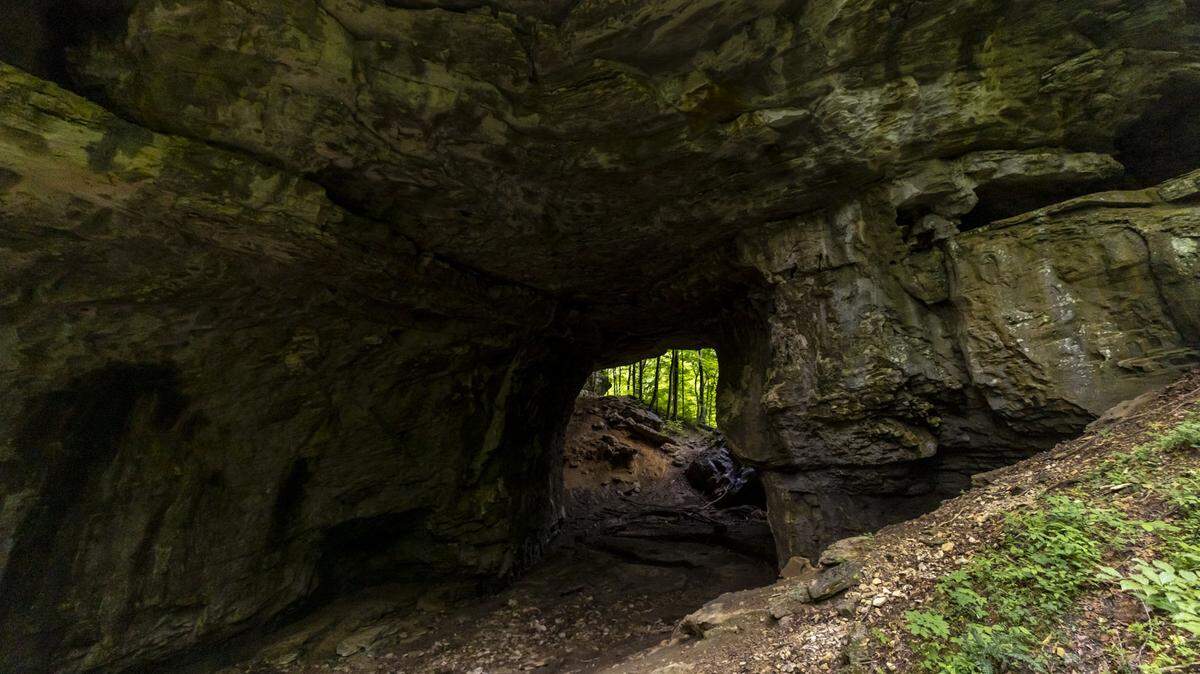 Carter Caves State Resort Park is located near Olive Hill in Carter County, Kentucky.