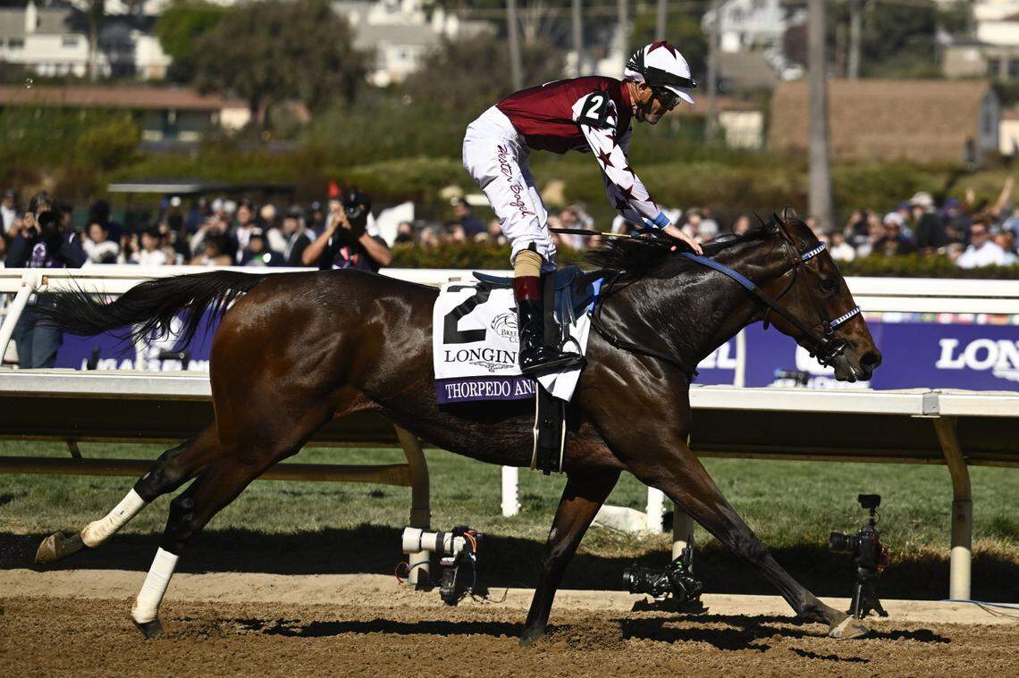 With jockey Brian Hernandez aboard, Thorpedo Anna won the 2024 Breeders’ Cup Distaff at Del Mar.