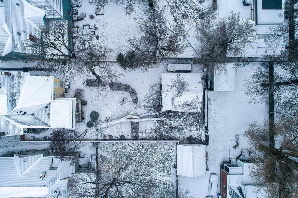 A tree fell in the backyard of a home on Central Avenue in Lexington, Ky., overnight on Thursday, Feb. 3, 2022. The homeowner said no one was injured.