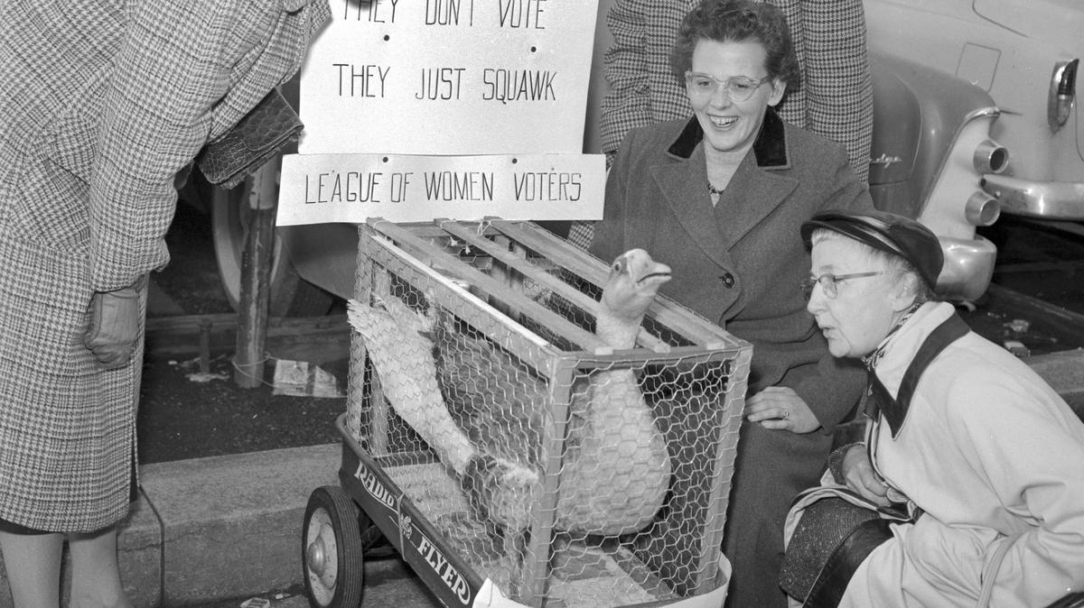 The League of Women Voters set up a geese display in downtown Lexington near Union Station urging everyone to vote, the day before Election Day, Nov. 4, 1957. The sign on top says “They don’t vote they just squawk.” Viewing the display are Mrs. Thornton Scoot (left), Mrs. Thomas Stroup (lower right) and Mrs. Charles Thorne. More than 43,000 Fayette County voters were eligible to vote. Officials expected 25,000 to actually vote. Published Nov. 4, 1957 in the Lexington Leader. Herald-Leader file photo