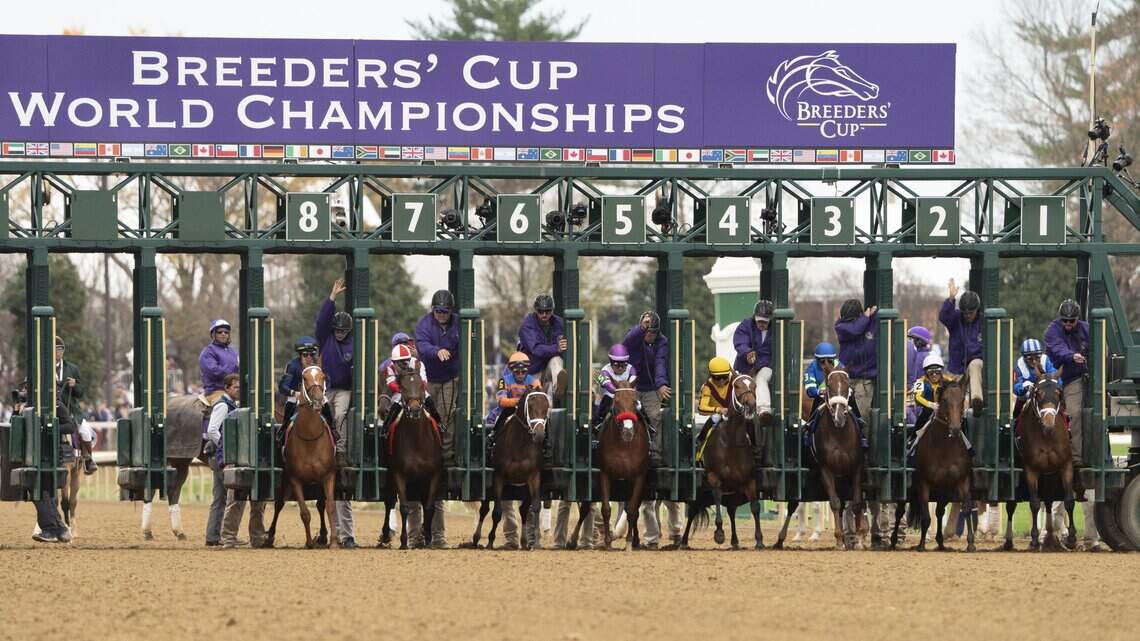 What’s the Breeders’ Cup, and why is it in Lexington? What to know about the races