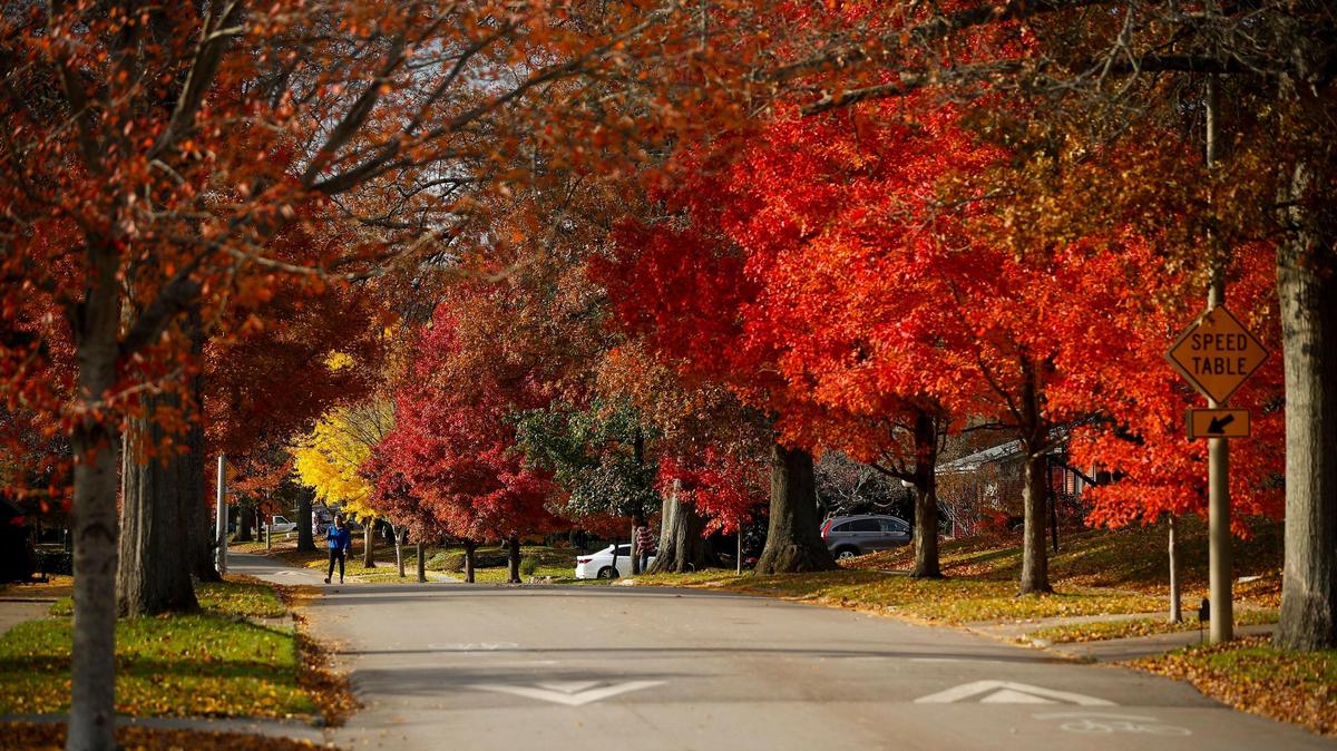 A woman crossing Lexington’s Glendover Road on Friday, Nov. 12, 2021. Due to a city error, 53 homes on Glendover Road have received free trash pick up, street cleaning and street lights for eight years.