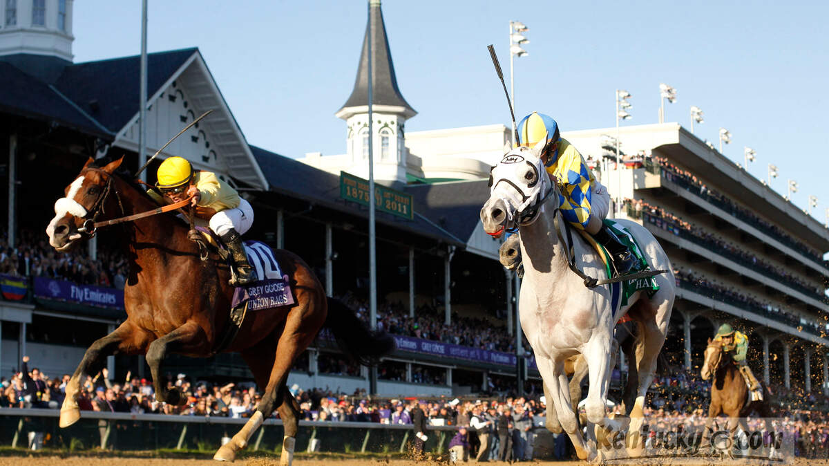 Hansen, 5, with Ramon Dominguez  up won the Breeders juvenile  by a nose over Union Rags with Javier Castellano up, left,  during the 2011 Breeders Cup at Churchill Downs on Saturday November 5,2011. Photo by Mark Cornelison | Staff