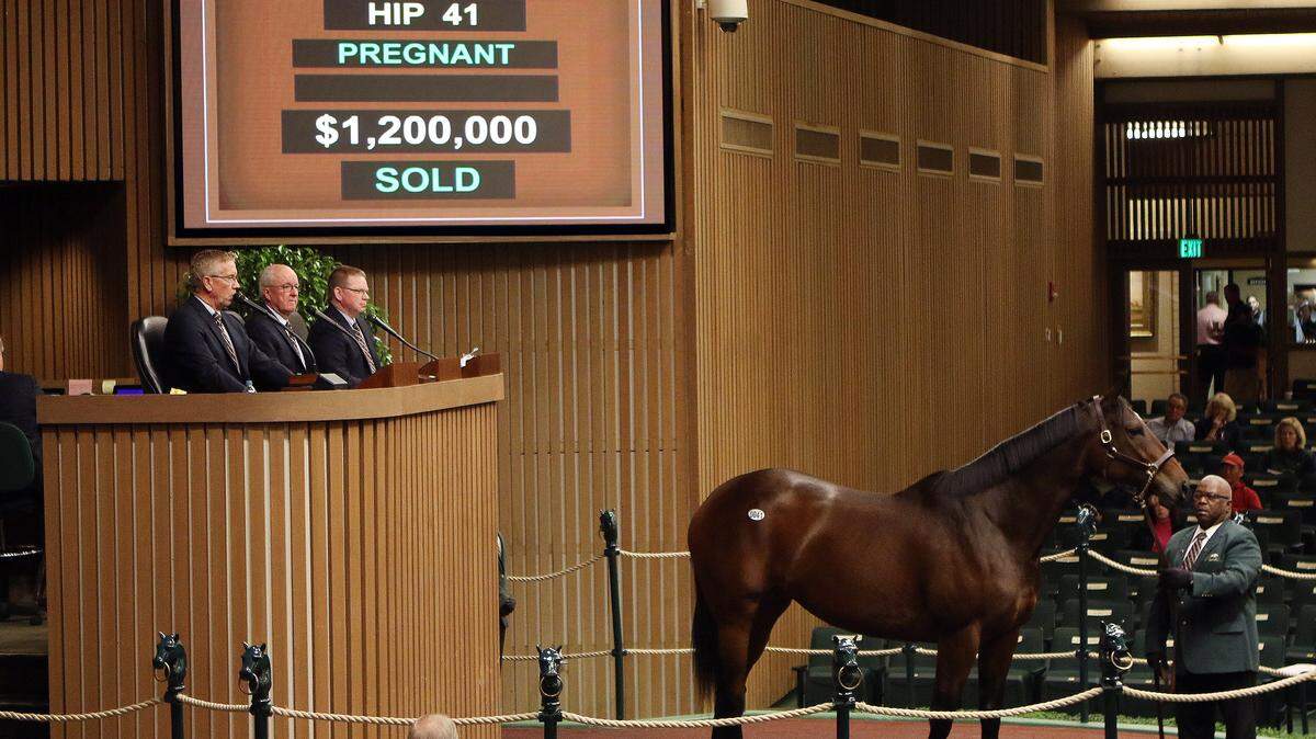 Don't Tell Sophia, in foal to Medaglia d'Oro, sold for $1.2 million.