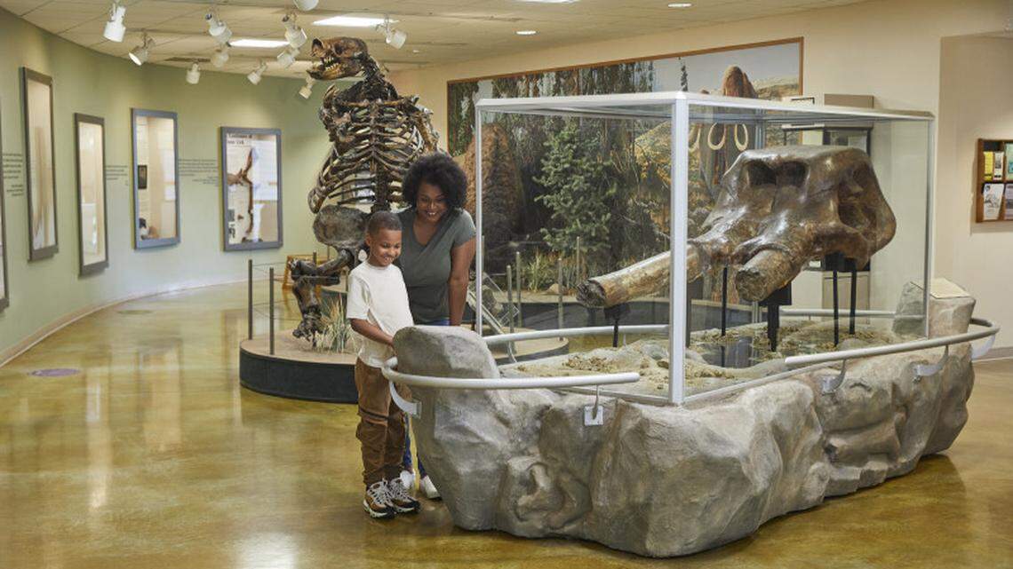 Big Bone Lick State Historic Site has now been designated a National Historic Landmark by the Department of the Interior.