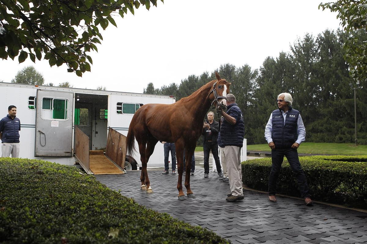 Trainer Bob Baffert watched as Triple Crown winner Justify arrived at Ashford Stud in Versailles.
