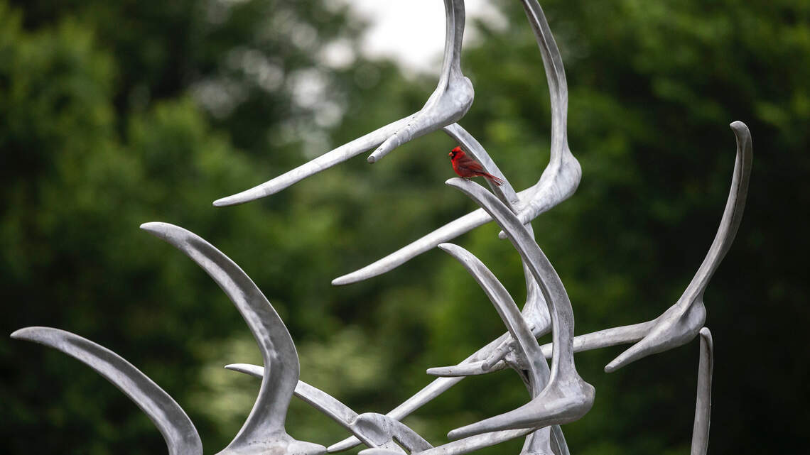 Documentary honors victims for 20th anniversary of deadly Lexington plane crash