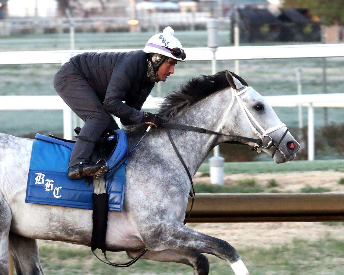 Kentucky Derby hopeful Final Gambit has two wins from four career starts, including in the Grade 3 Jeff Ruby Steaks in March at Turfway Park.