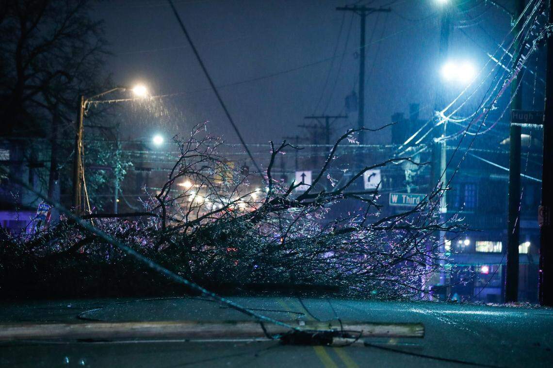 A tree blocked Jefferson Street near Maryland Avenue during an ice storm in Lexington Wednesday night.