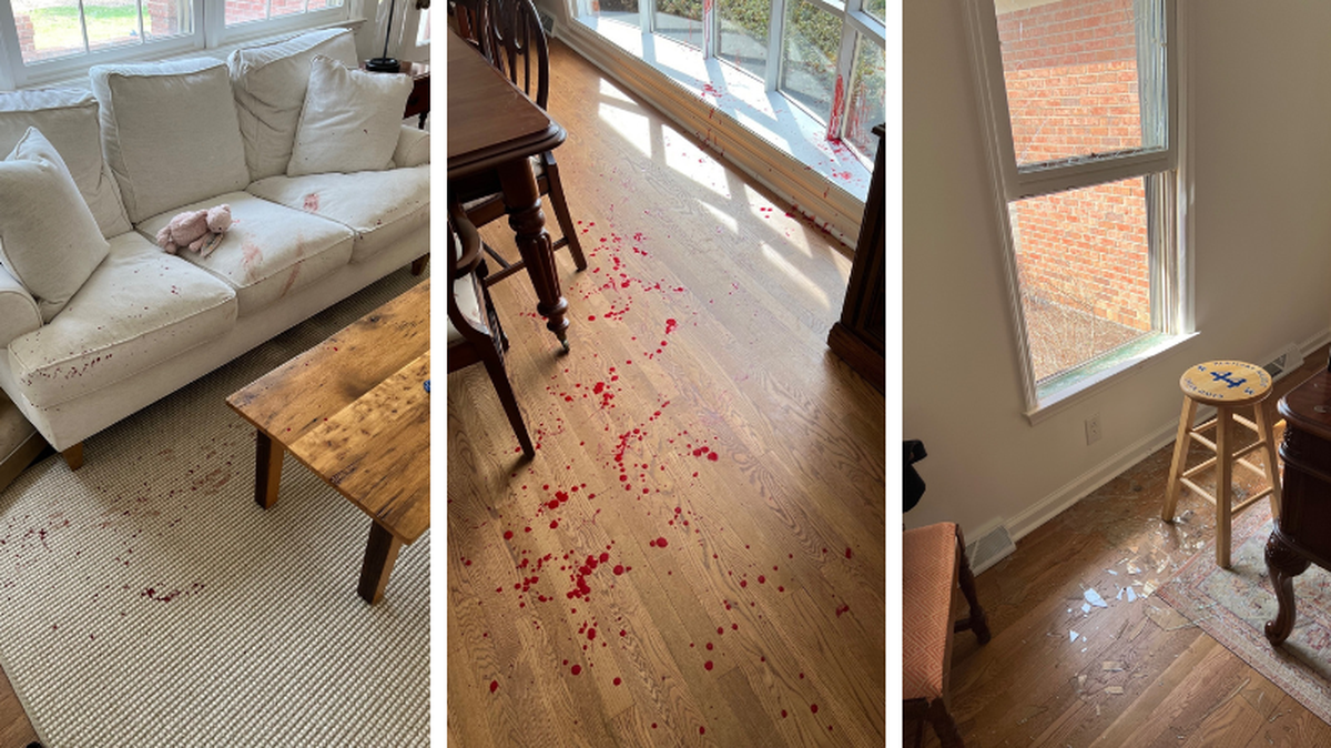 A deer broke into the home of Abe Mashni on March 5, 2022. The deer busted through a window in the Mashni’s Lexington home, rampaged through the home and then broke out a second window to escape.