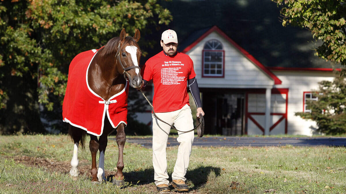 Groom Flavio Bueno led a blanketed Kitten's Joy across the grounds last week at Ramsey Farm in Nicholasville. "He is treated like the king that he is," owner Ken Ramsey said of the farm's signature stallion.        