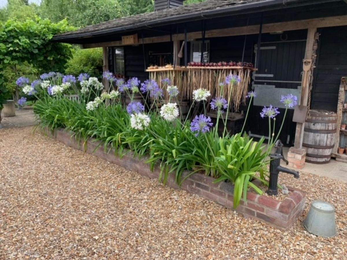 The garden of Kentucky native Mike Robinson, who lives in Great Britain is featured on a British television series, “Garden of the Year.”