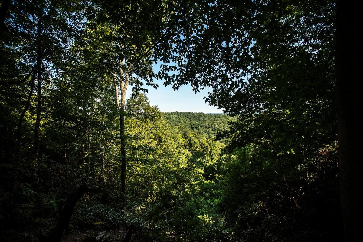 This is the view from property close to the Natural Bridge State Park, in Powell County, Ky.