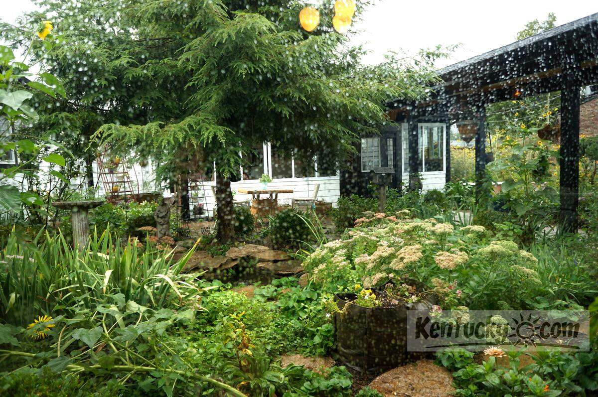 The former Flag Fork Herb Farm garden will be blooming again for a new restaurant.
