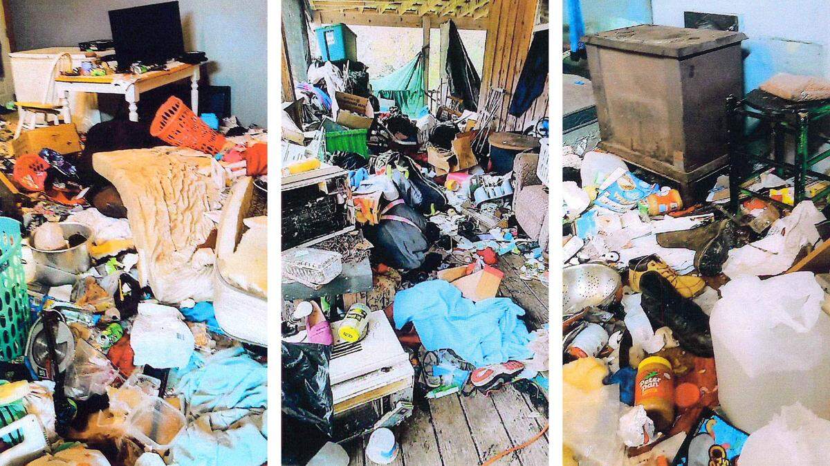 Officials in Bell County said a house there cluttered when animal-control officers took three cats and a dog from the property in October 2022.