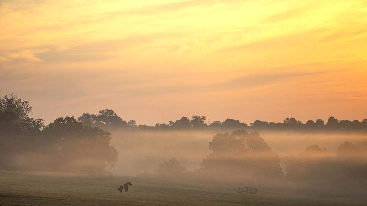 A mare and foal stand in a field at Darby Dan Field off Old Frankfort Pike as the sun rises in this May 16, 2019, photo. 