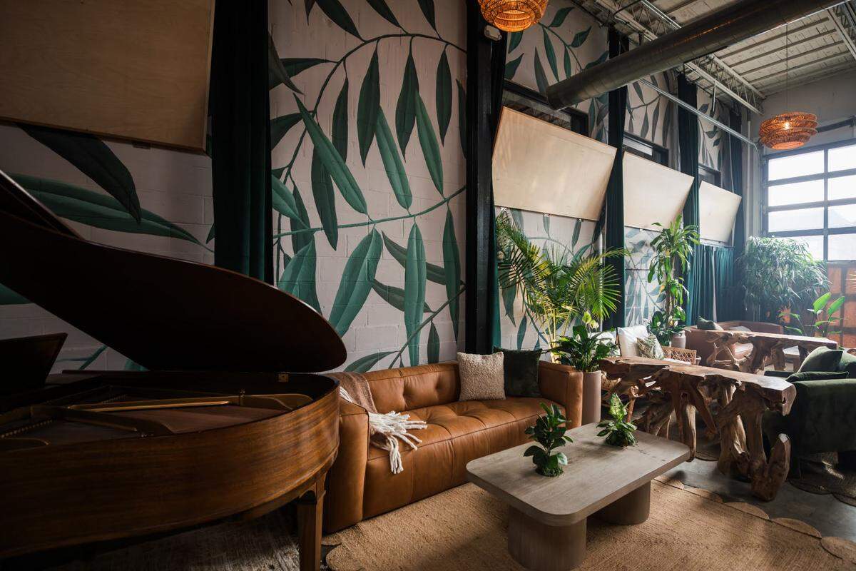The Willow, a blooming collective, is opening on National Avenue. It’s a wine and coffee bar, an exercise space, a place to hang out in peace or enjoy some piano music.