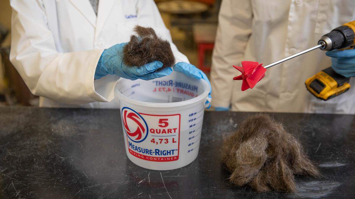 Researchers at the University of Kentucky are investigating how to use human hair to make more sustainable construction materials.