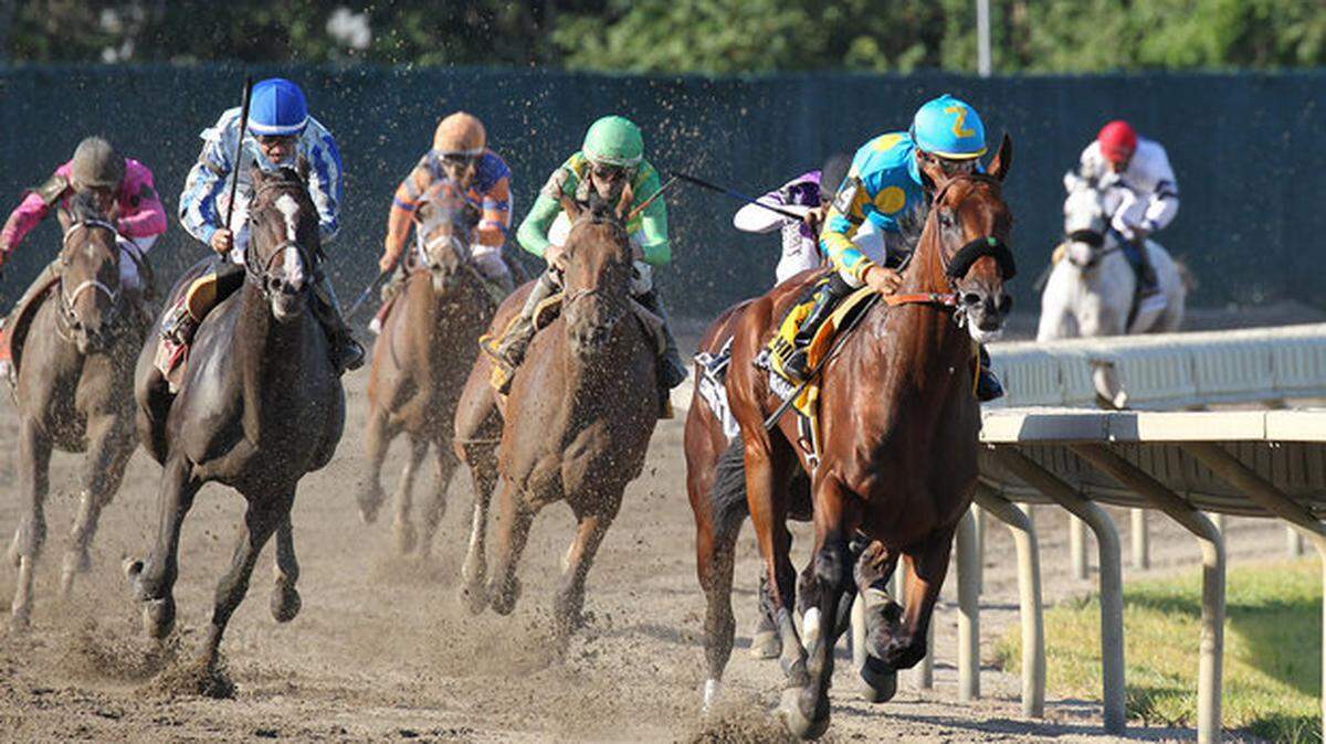 Triple Crown winning American Pharoah, with Victor Espinoza riding, won the Aug. 2 William Hill Haskell Invitational at Monmouth Park in Oceanport, N.J. The horse's exceptional winning streak is attracting new fans to the sport.  