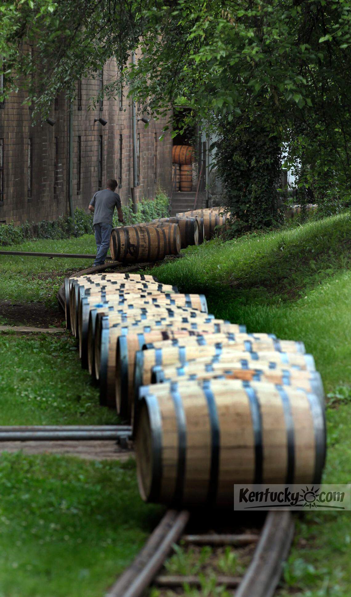 Freshly-filled barrels of Woodford Reserve move to a storage warehouse at Woodford Reserve Distillery near Versailles June 5, 2013. Photo by Charles Bertram | Staff