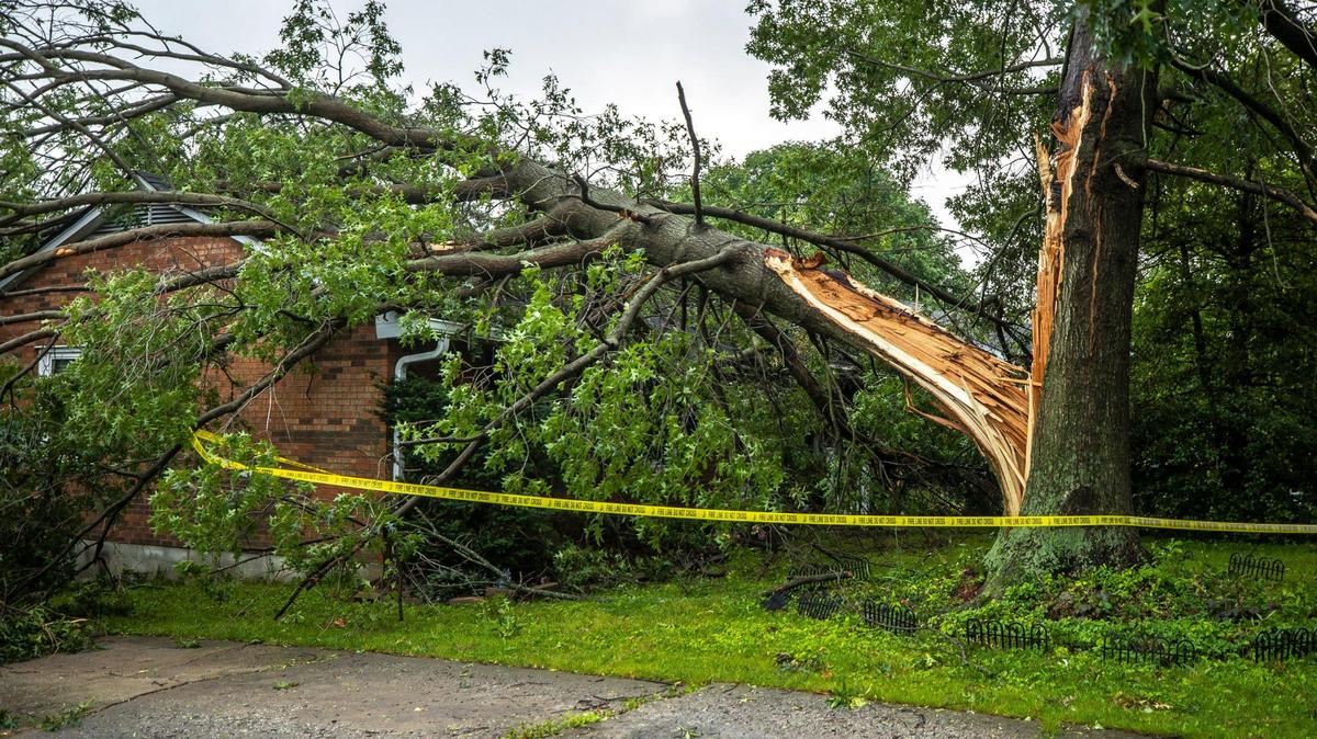 Severe weather caused a tree to fall on home on Merewood Drive in Lexington, Ky., on Sunday, July 2, 2023. The storms caused damage around the city and power outages.