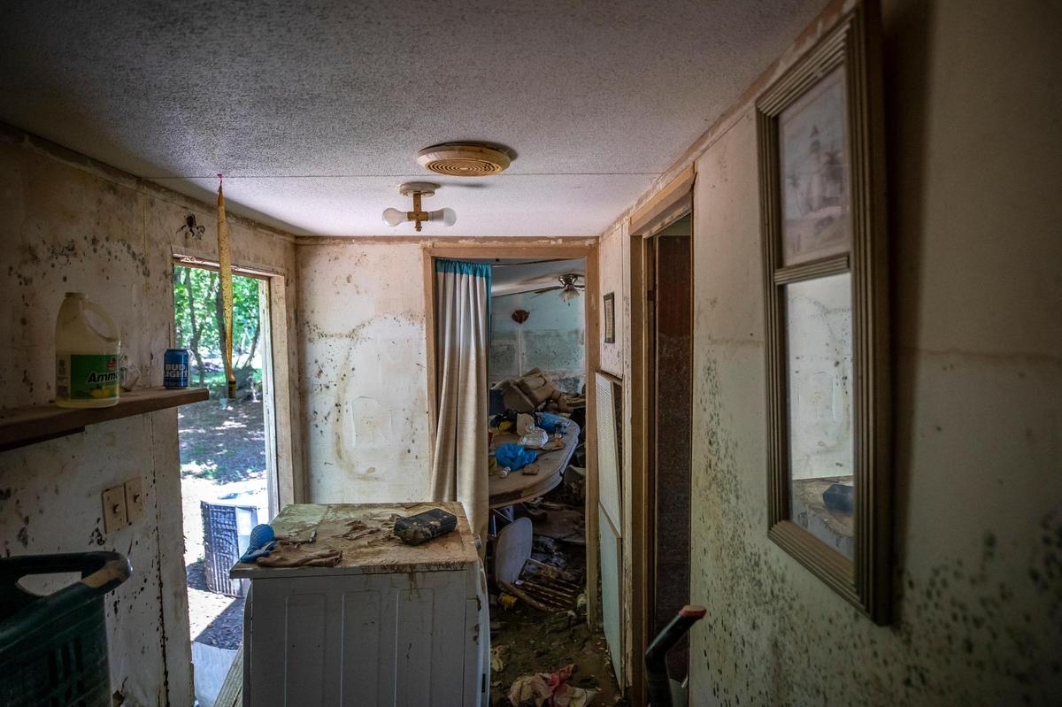 Mold grows on the walls of Wiley Messer’s home in Perry County, Ky., on Tuesday, Aug. 23, 2022. The home was severely damaged by flood waters last month.