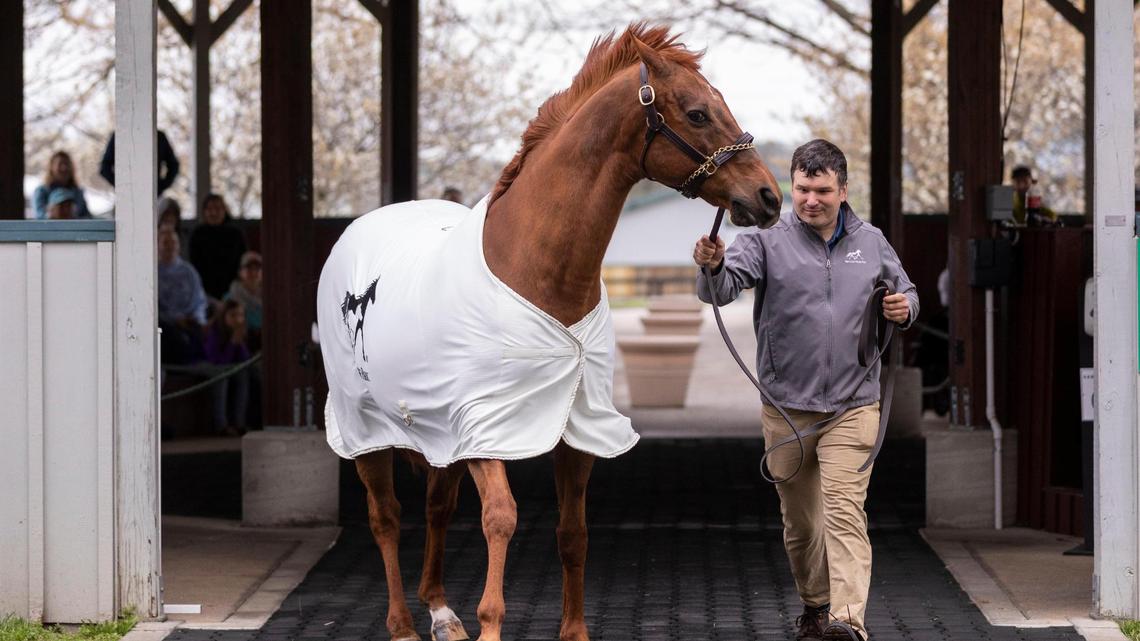 2003 Kentucky Derby and Preakness winner Funny Cide exits after the Hall of Champions show with equine worker Paul Kaywood at the Kentucky Horse Park on April 16.