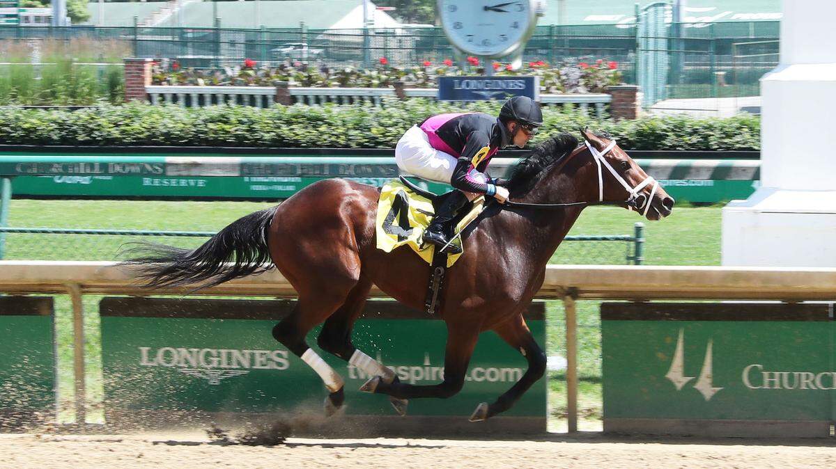 Art Collector, ridden by Brian Hernandez, won an allowance optional claiming race at Churchill Downs by 6 1/2 lengths on June 13.
