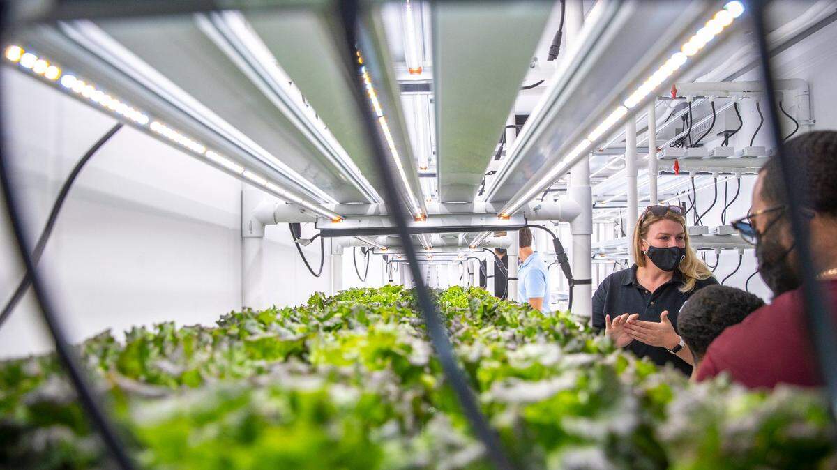 What has AppHarvest done for Eastern Kentucky? ‘They’ve delivered the jobs.’