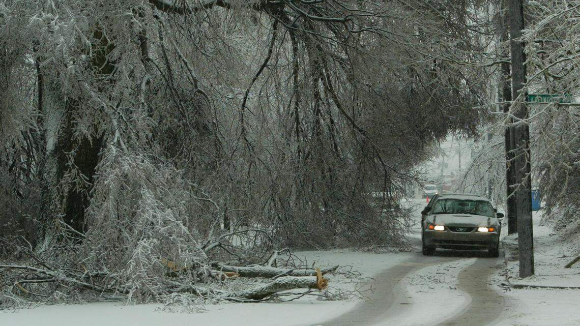 Feb. 17, 2003: High Street near Arlington Avenue looked like a one-lane country road after tree limbs bent or fell to the ground. 