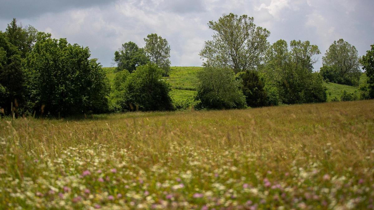 We’ve never been more divided? I traveled into Kentucky’s past to find out.