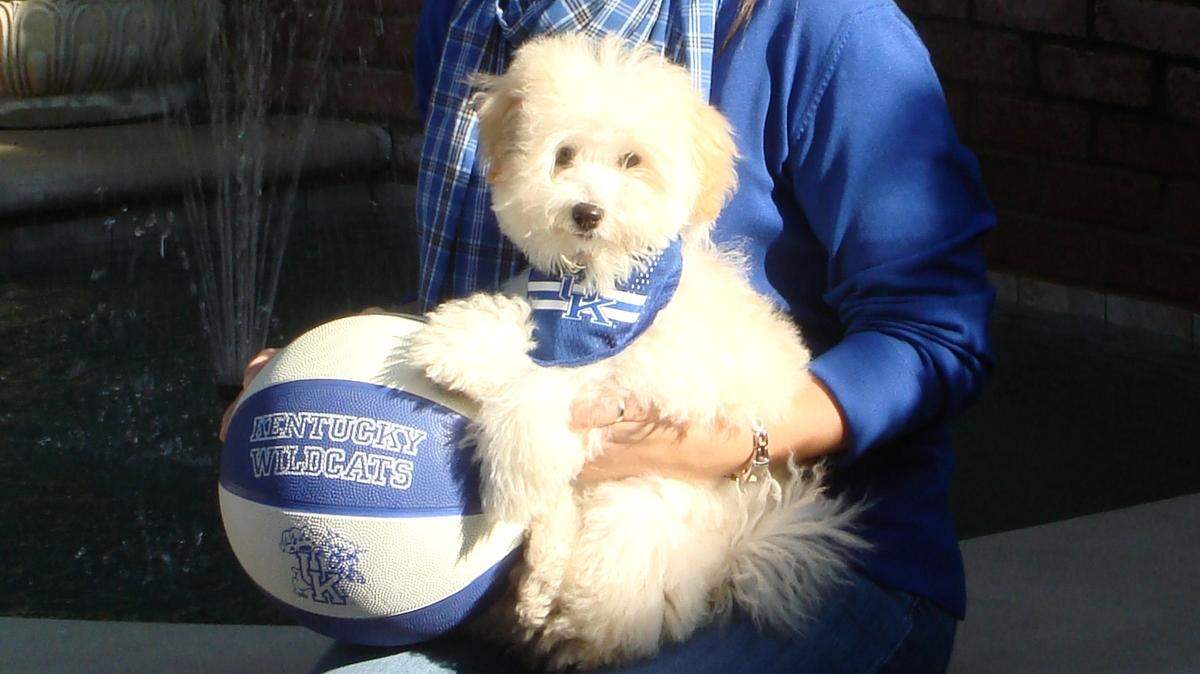 Lauren Erena, a teacher at Lexington Christian Academy, decided to name her Bichon Frise-poodle mix Rupp ... Erena.