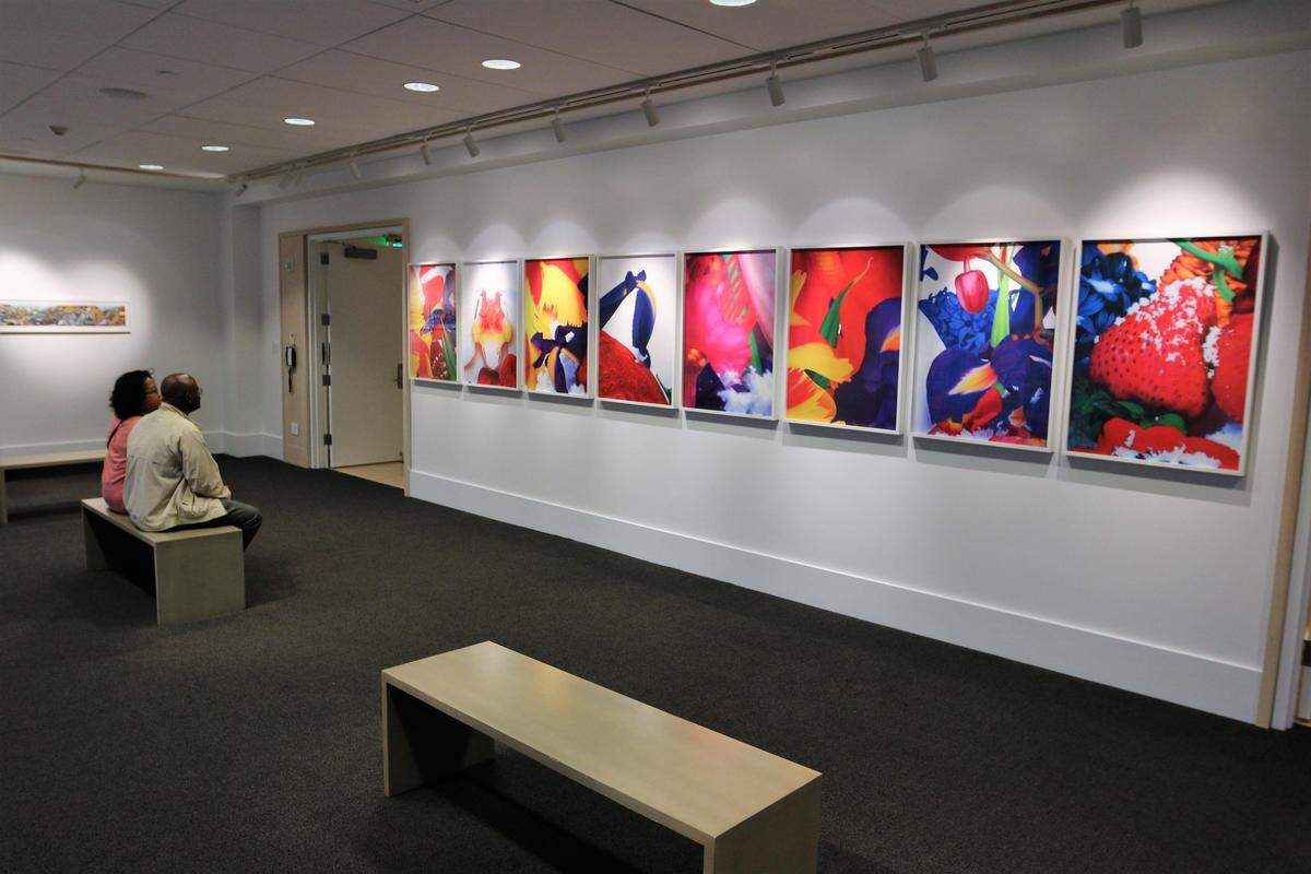 The 21c Museum Hotel in downtown Lexington celebrated the one-year anniversary of their contemporary art museum as part of the LexArts Gallery Hop on Friday, March 17, 2017.