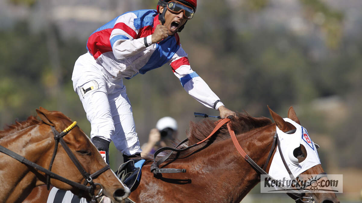Groupie Doll, with Rajiv Maragh up, wins the Breeders' Cup Filly and Mare Sprint for owners Fred Bradley, William Bradley, Carl Hurst and Brent Burns and trainer William Bradley at Santa Anita Park Nov. 2, 2013. 
Photo by Amy Wallot