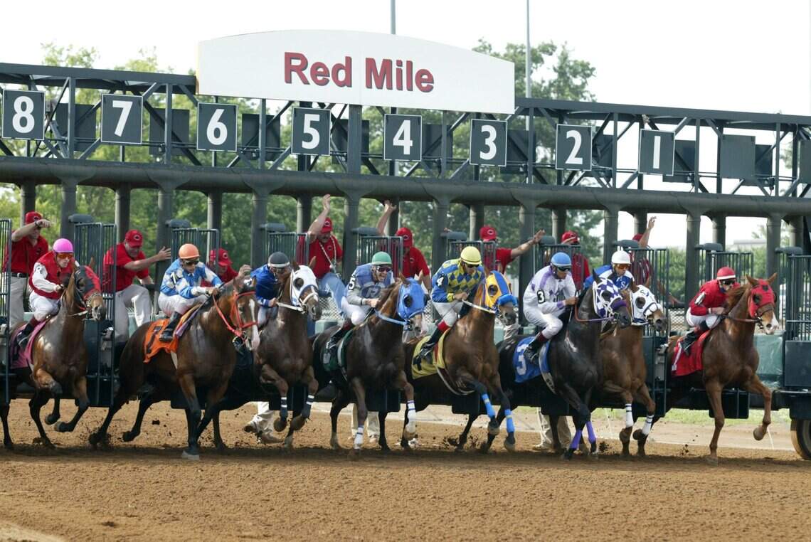 Lexington's Red Mile: 150 years of harness racing history | Lexington ...