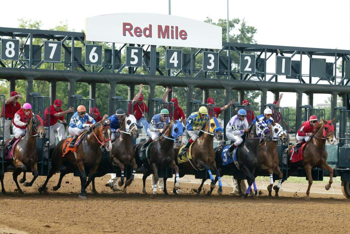 The race 3 field breaks from the gate as Quarter Horse racing returned to The  Red Mile in Lexington, KY on July 3, 2004.