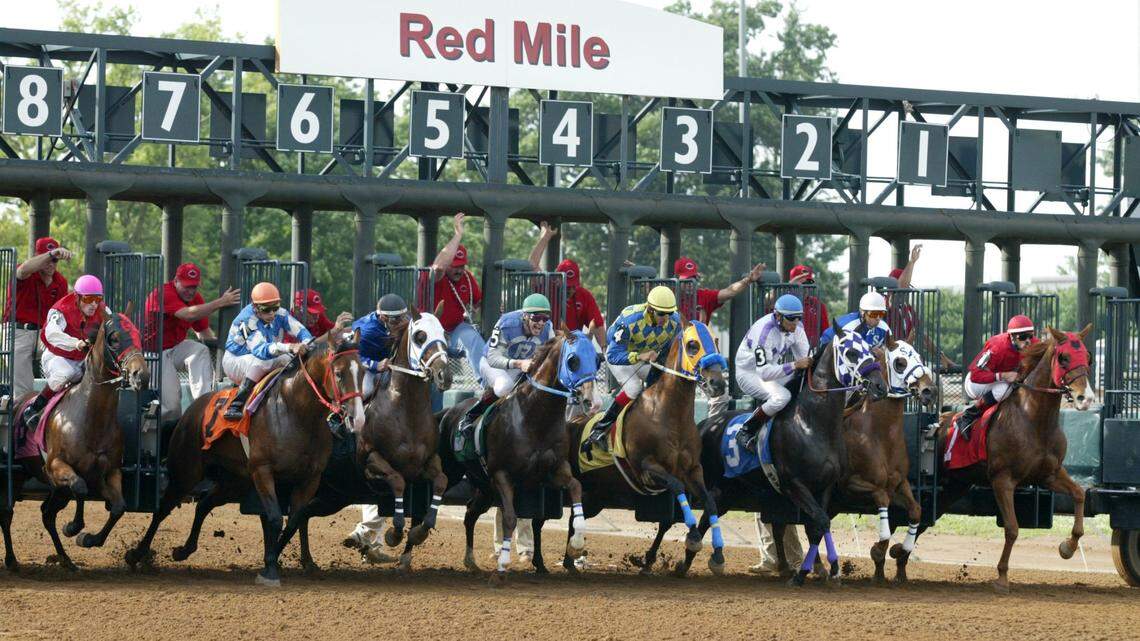 The race 3 field breaks from the gate as Quarter Horse racing returned to The Red Mile in Lexington, KY on July 3, 2004. Kentucky, which doesn’t have any quarter racing at the moment, approved a license for a new quarter horse racetrack in Boyd County.