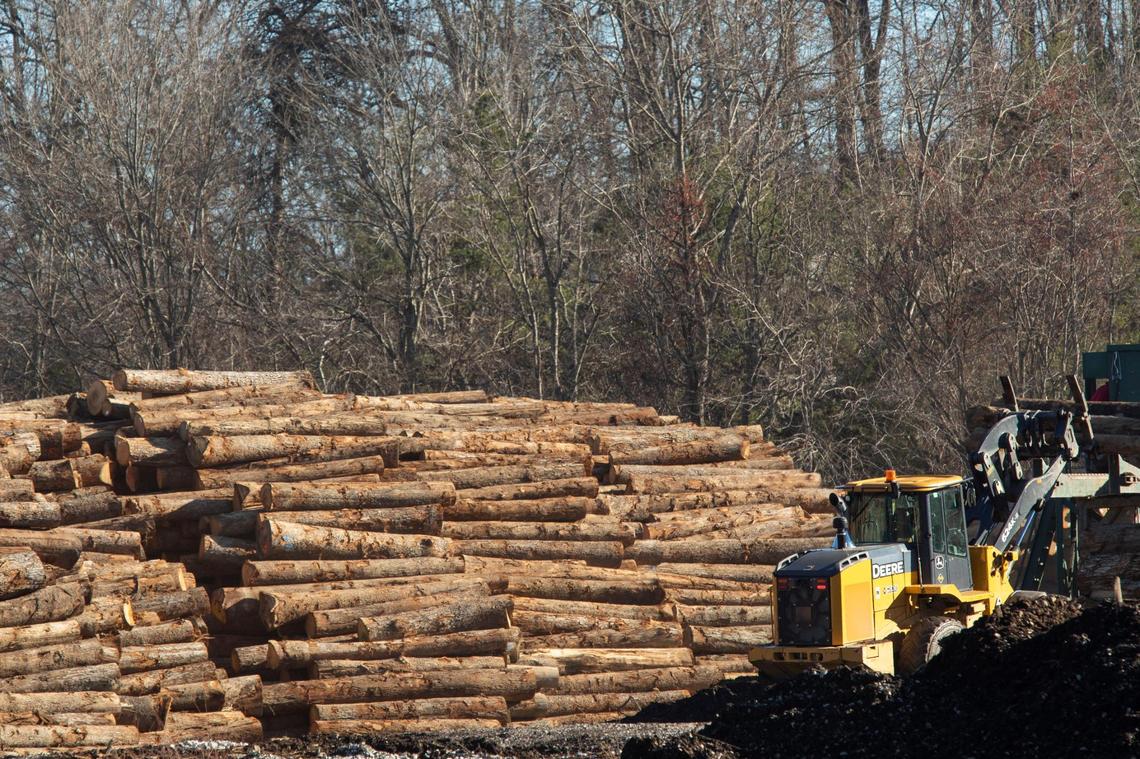 White oak logs are moved from the receiving yard to the mill of Robinson Stave Mill in East Bernstadt, Ky., Dec. 13, 2021. Robinson Stave buys exclusively white-oak timber to use in making bourbon barrels.