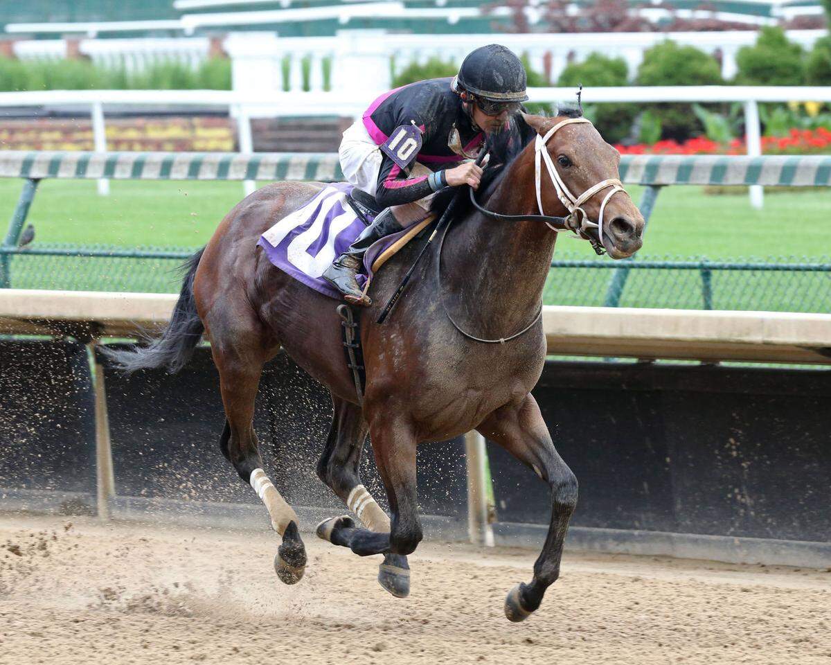 Brian Hernandez Jr. guided Art Collector to victory in a 7-furlong allowance race at Churchill Downs on May 17. They followed that up with another allowance victory at the Louisville track on Saturday.