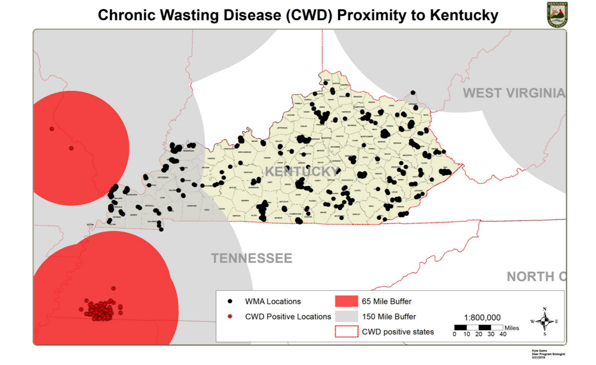 Chronic Wasting Disease has been found within 80 miles of Kentucky’s western border.